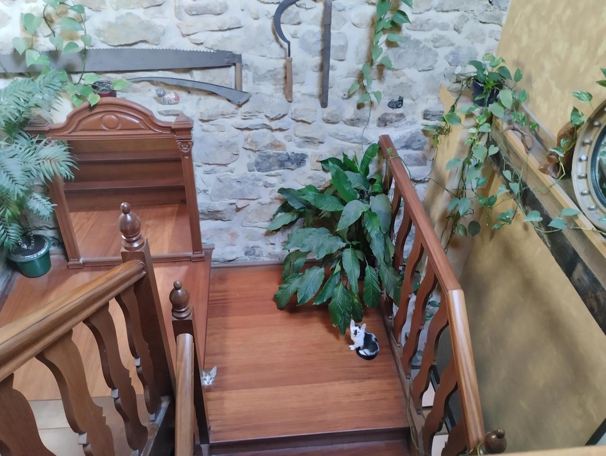 Eguzki B&B Durango Buitenkant foto